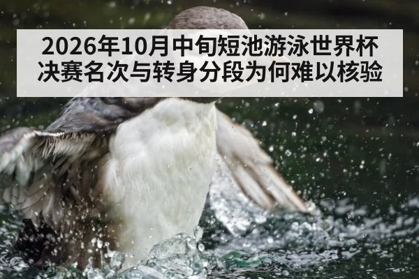 2026年10月中旬短池游泳世界杯 决赛名次与转身分段为何难以核验